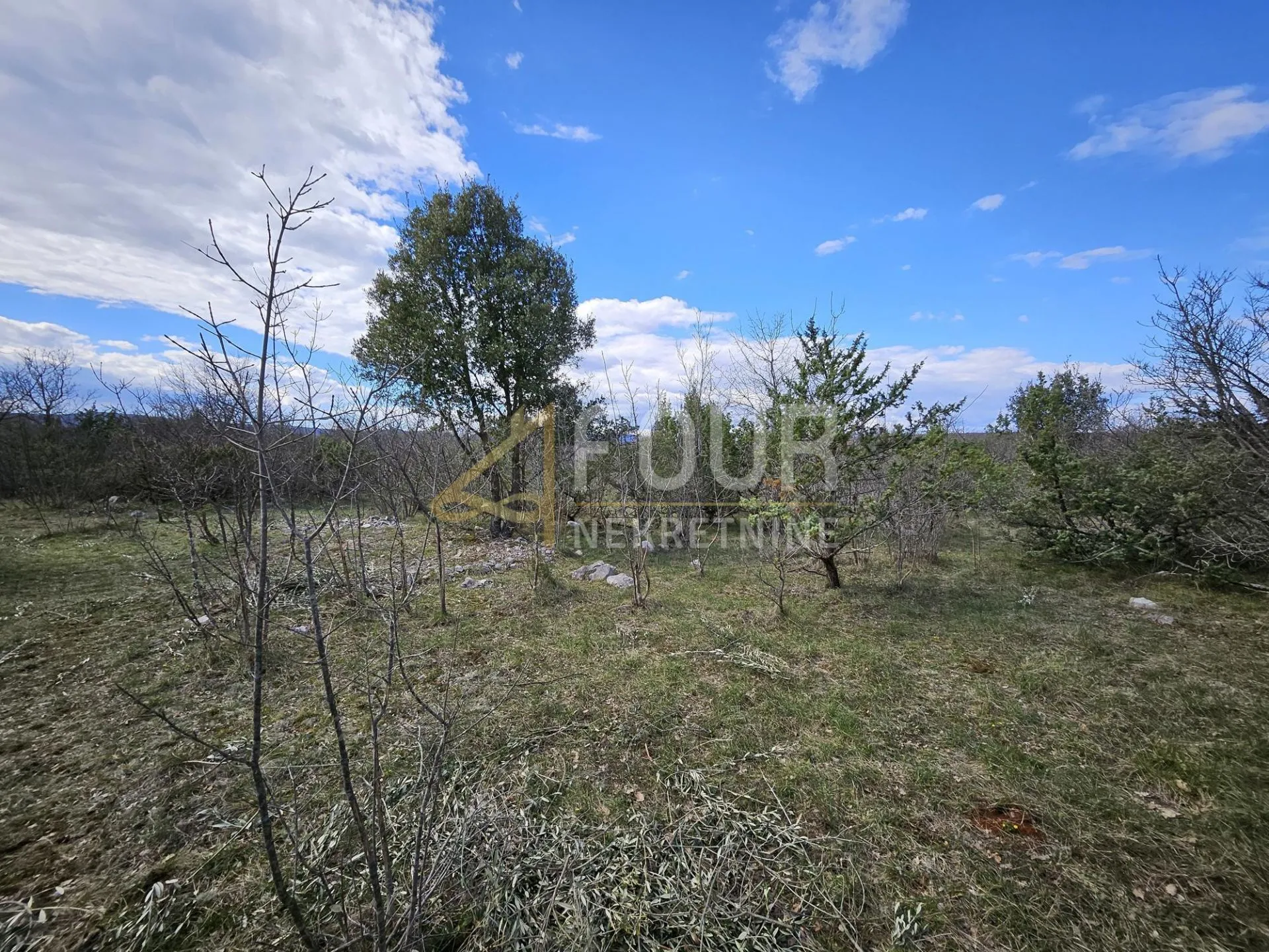 otok krk, pinezići - okolica, poljoprivredno zemljište, 6.141m2 - slika 2