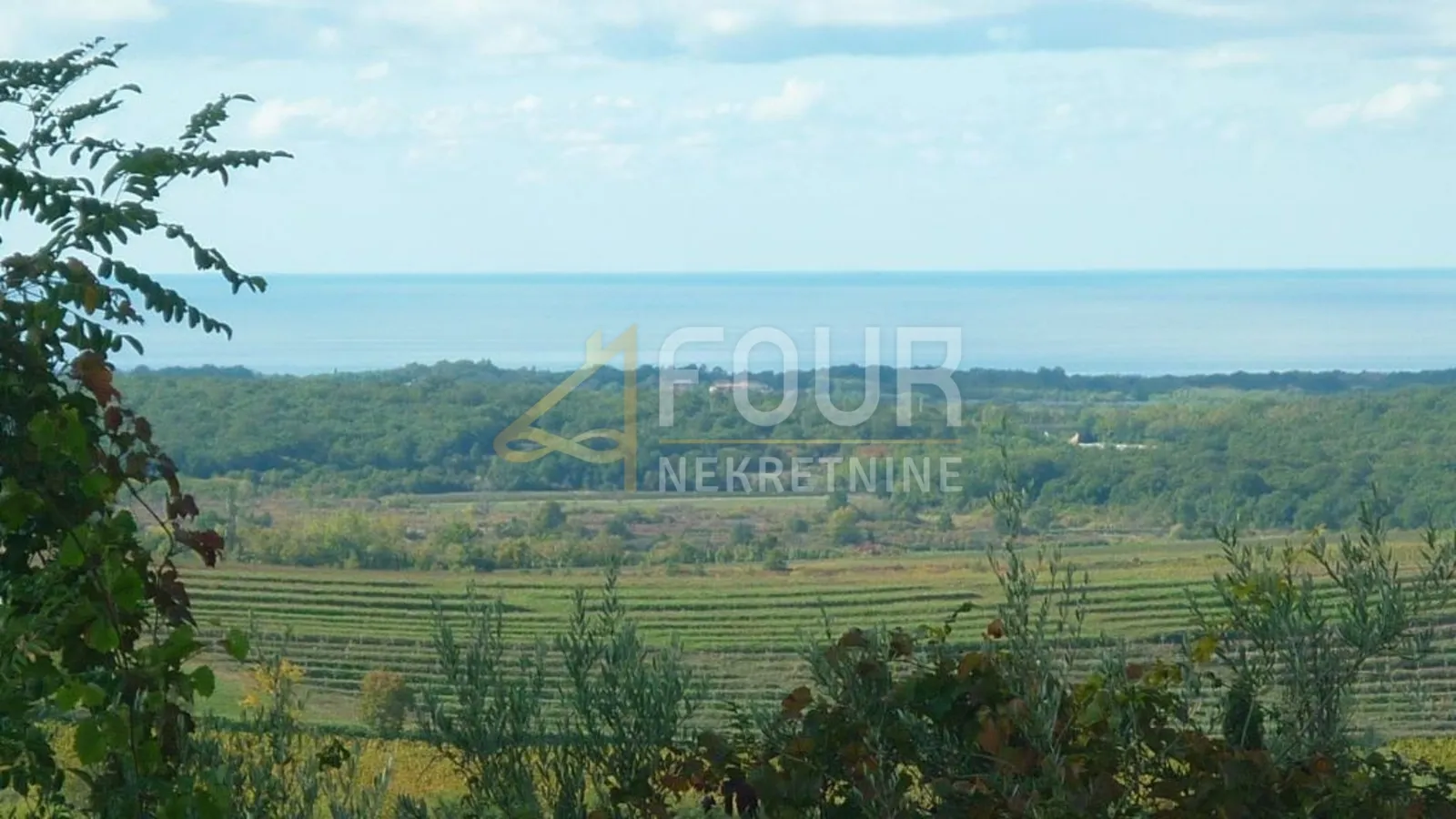 Istra, Buje, zemljište 1.341m2