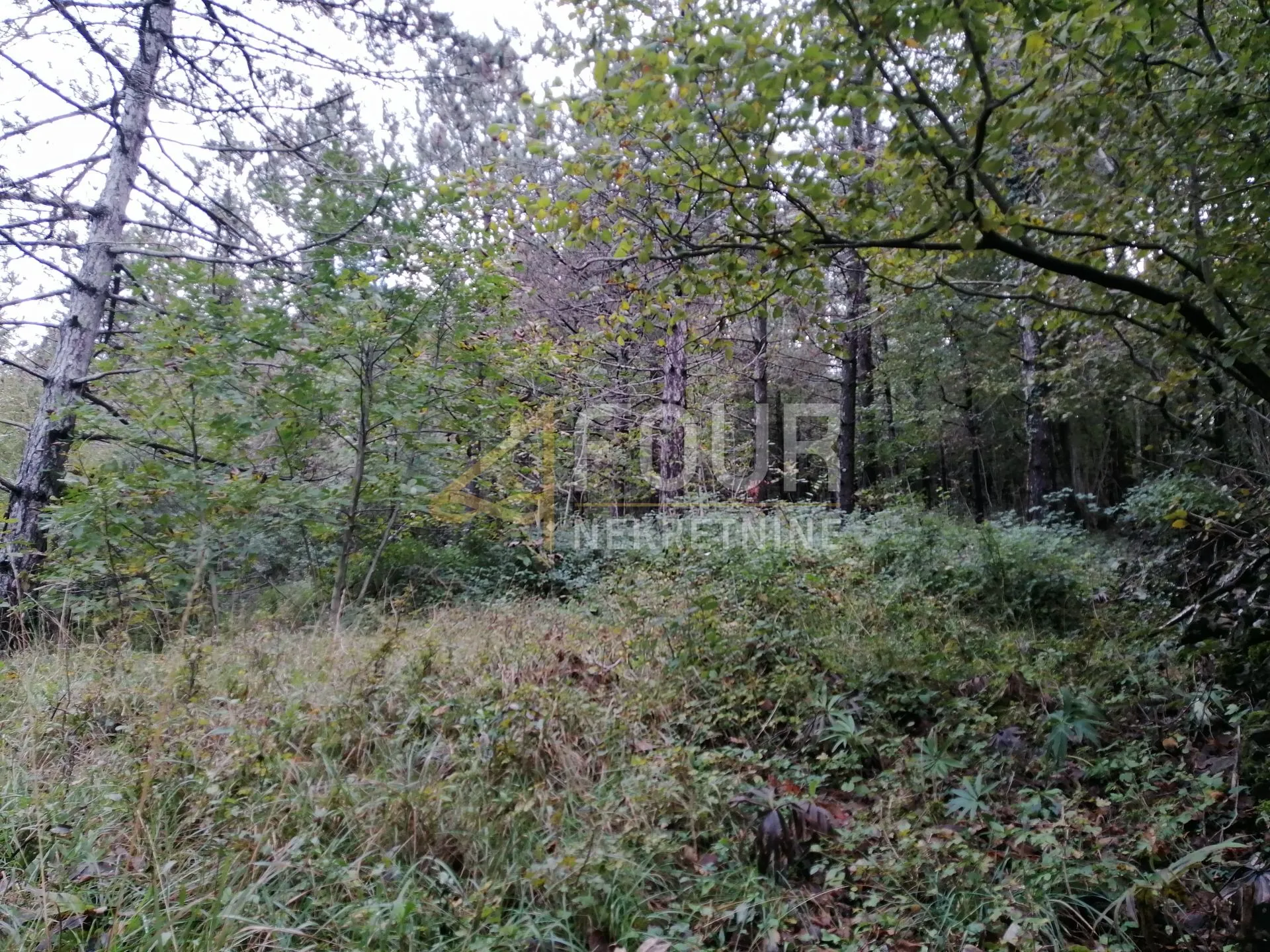 klana, građevinsko zemljište 3.690m2 - slika 4
