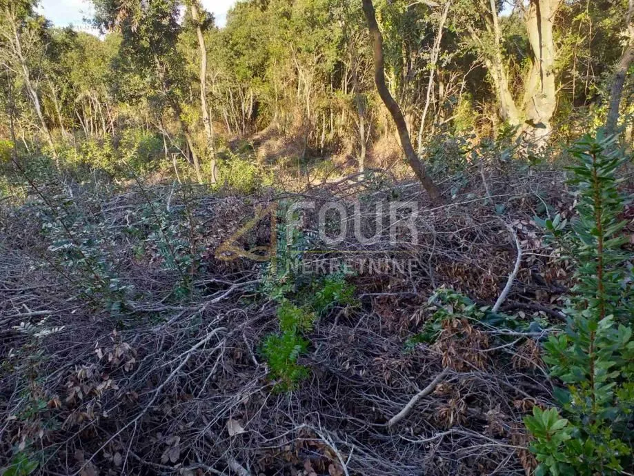 istra, duga uvala, poljoprivredno zemljište, 2.042m2 - slika 4