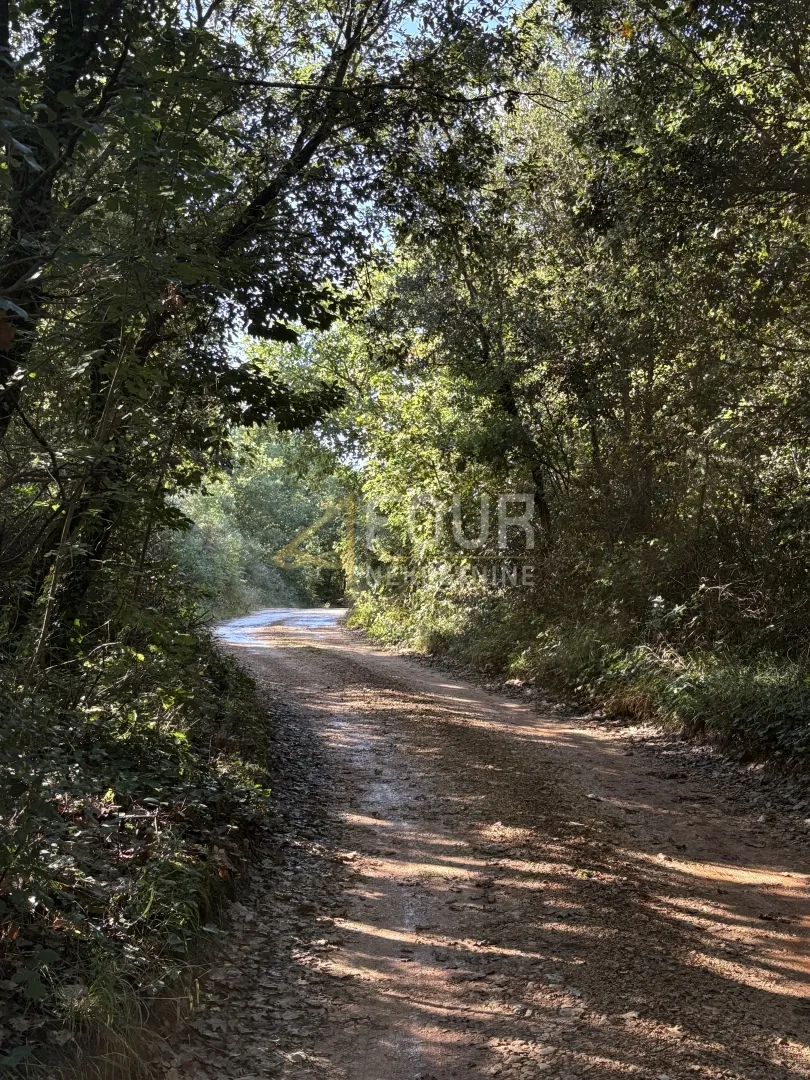 Istra, Šišan, poljoprivredno zemljište, 10.624m2 - Šišan, Ližnjan