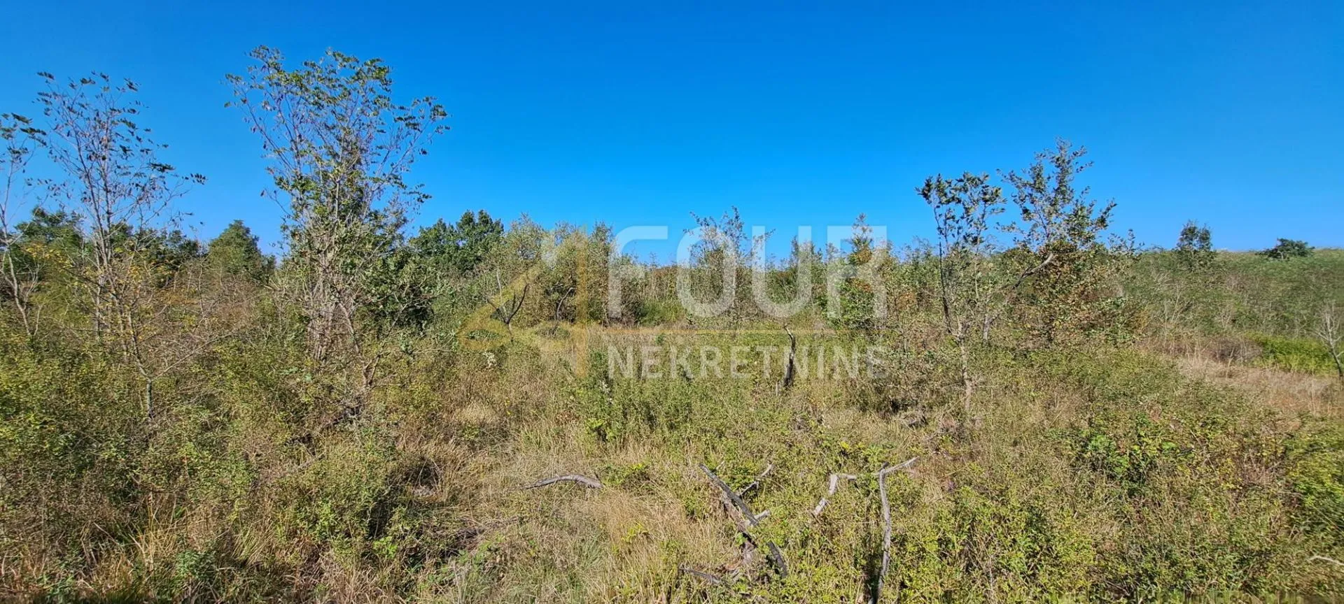 istra, poreč - okolica, poljoprivredno zemljište, 27.086m2 - slika 2