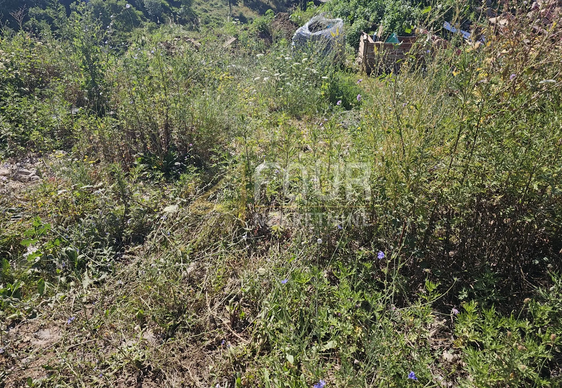 Marinići, zemljište 6.415m2 - za investitore! - Marinići, Viškovo