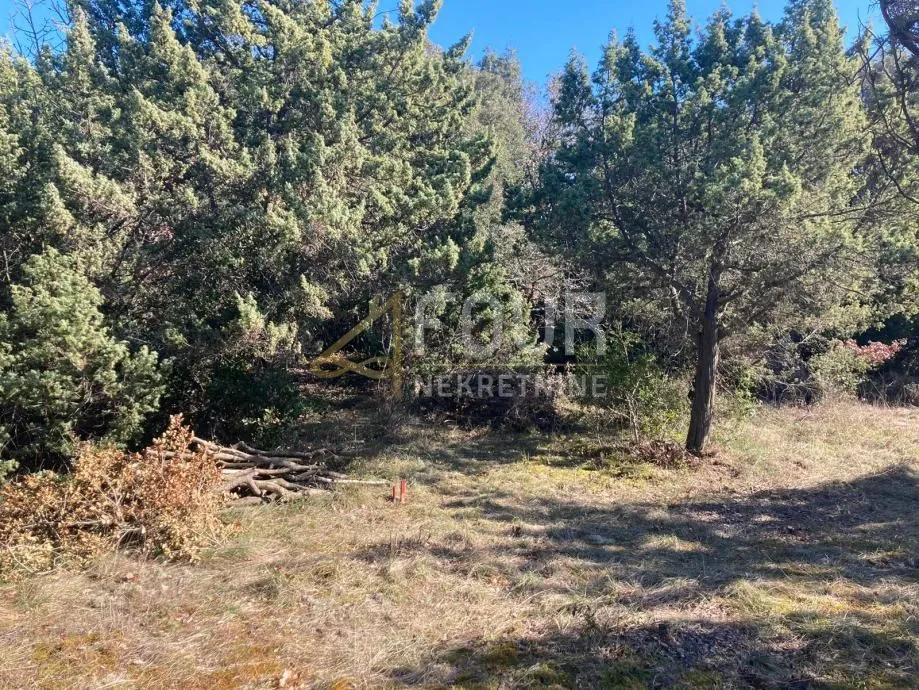 Istra, Marčana - okolica, poljoprivredno zemljište 500m2