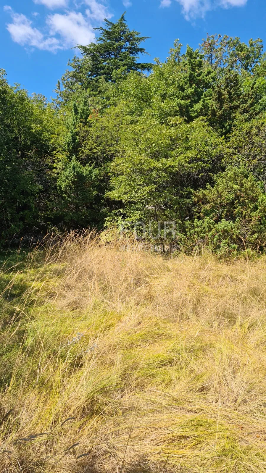 mošćenička draga - okolica, zemljište u građevinskoj zoni, 525m2 - slika 2