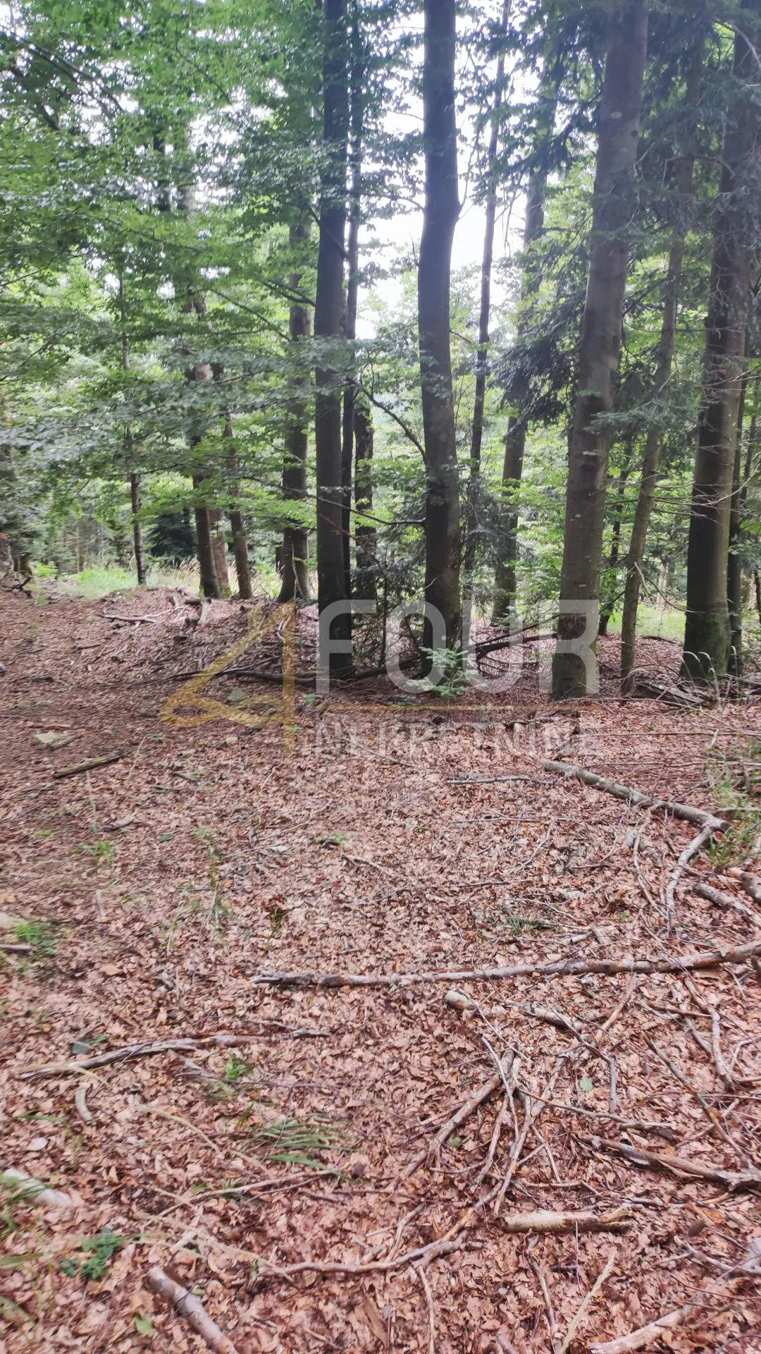 gorski kotar, lokve, poljoprivedno zemljište 406m2 - slika 2