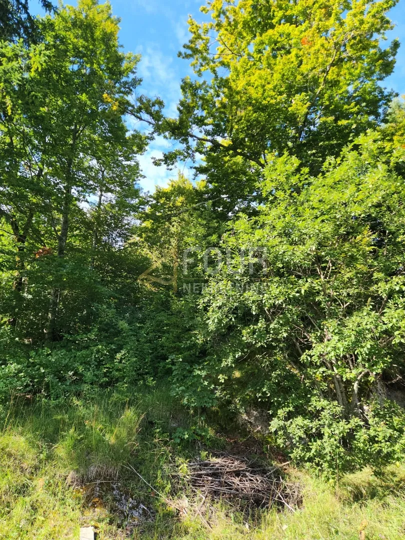 gorski kotar, stari laz, 766m2, građevinsko zemljište - slika 4