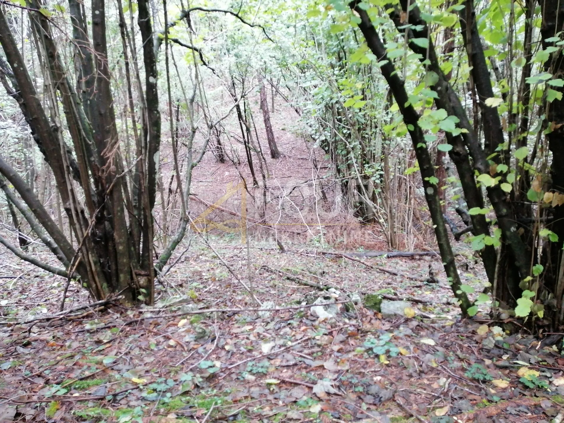 klana, građevinsko zemljište 3.690m2 - slika 3
