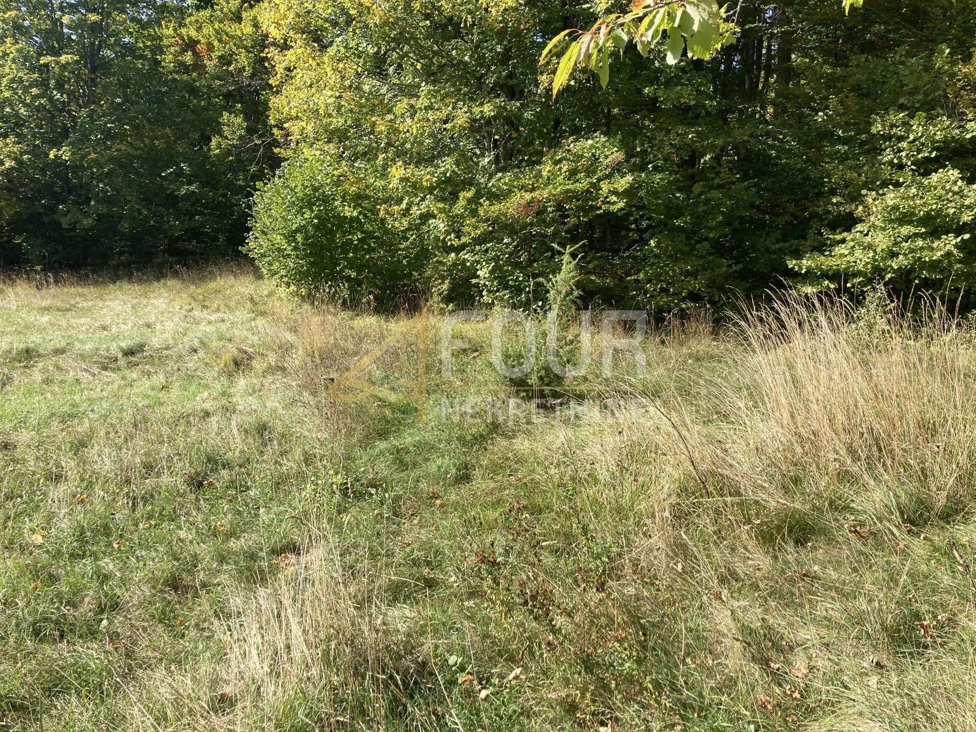 Gorski kotar, Stari Laz, zemljište od 3.972m2 od čega je 1.400m2 građevinski dio - Stari Laz, Ravna Gora