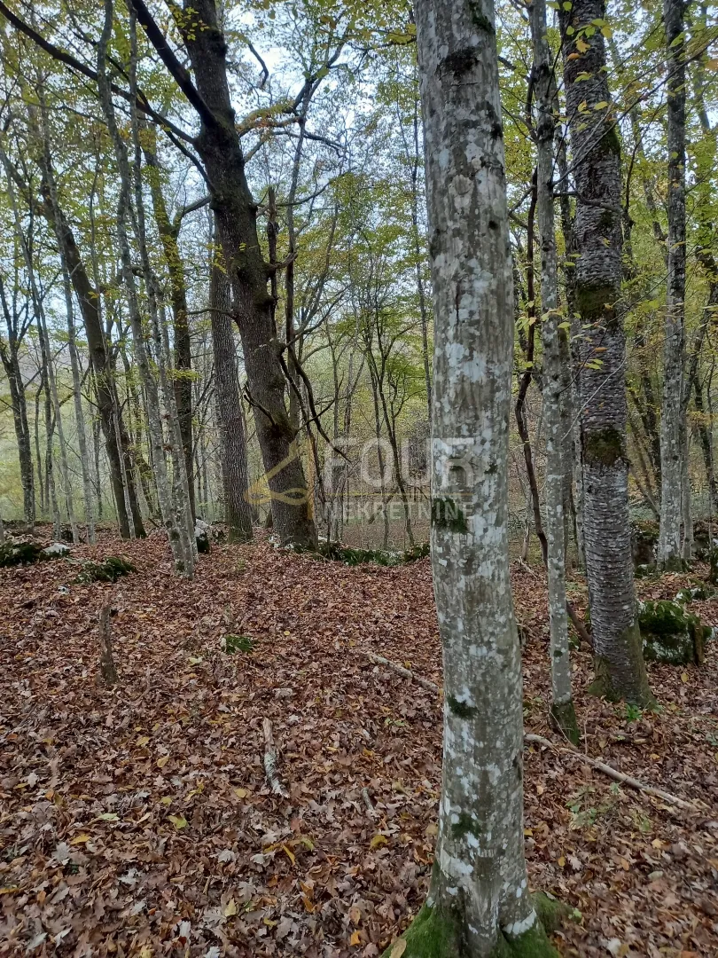 bosiljevo, zemljište površine 100.581m2, gospodarska zgrada - slika 2