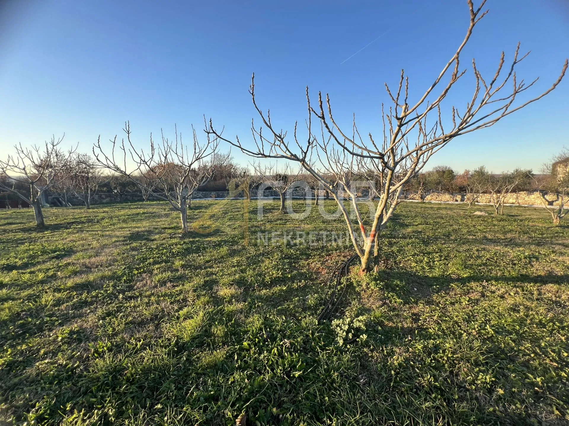 Istra, Marčana, građevinsko zemljište 1.000m2