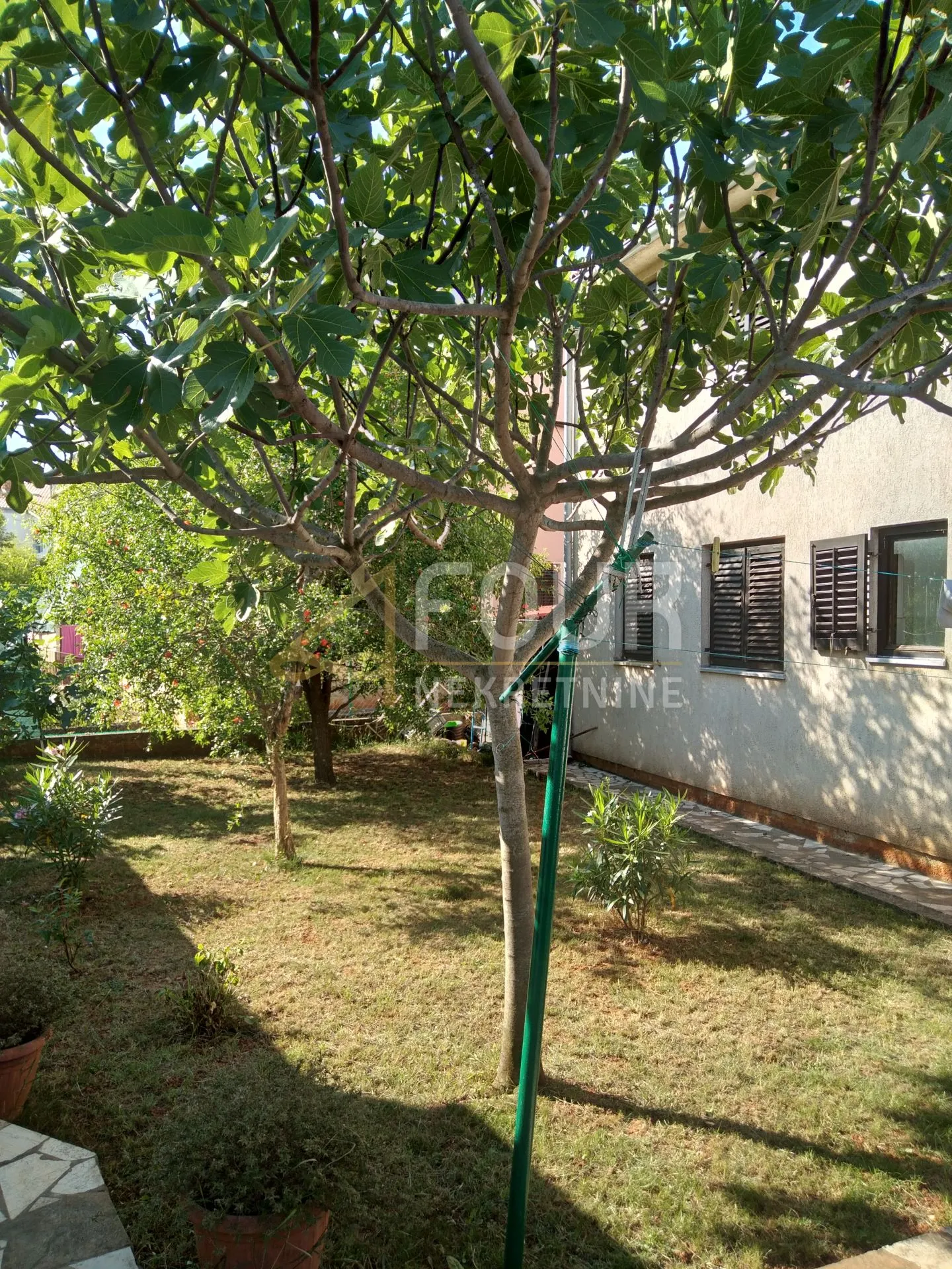 istra, fažana, kuća + 2 poslovna prostora + apartman - slika 6