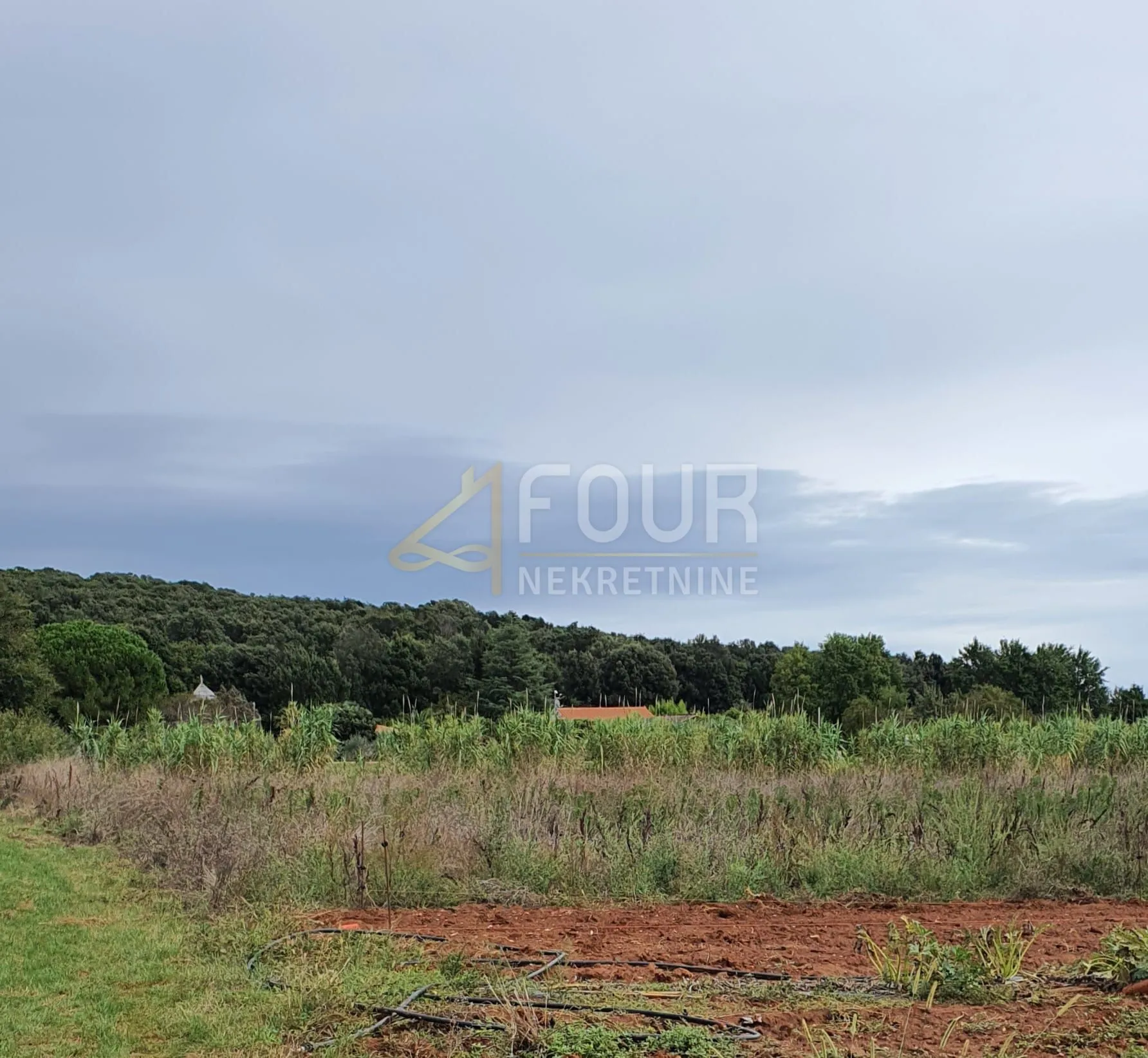 istra, rovinj, poljoprivredno zemljište 5000m2 - slika 7
