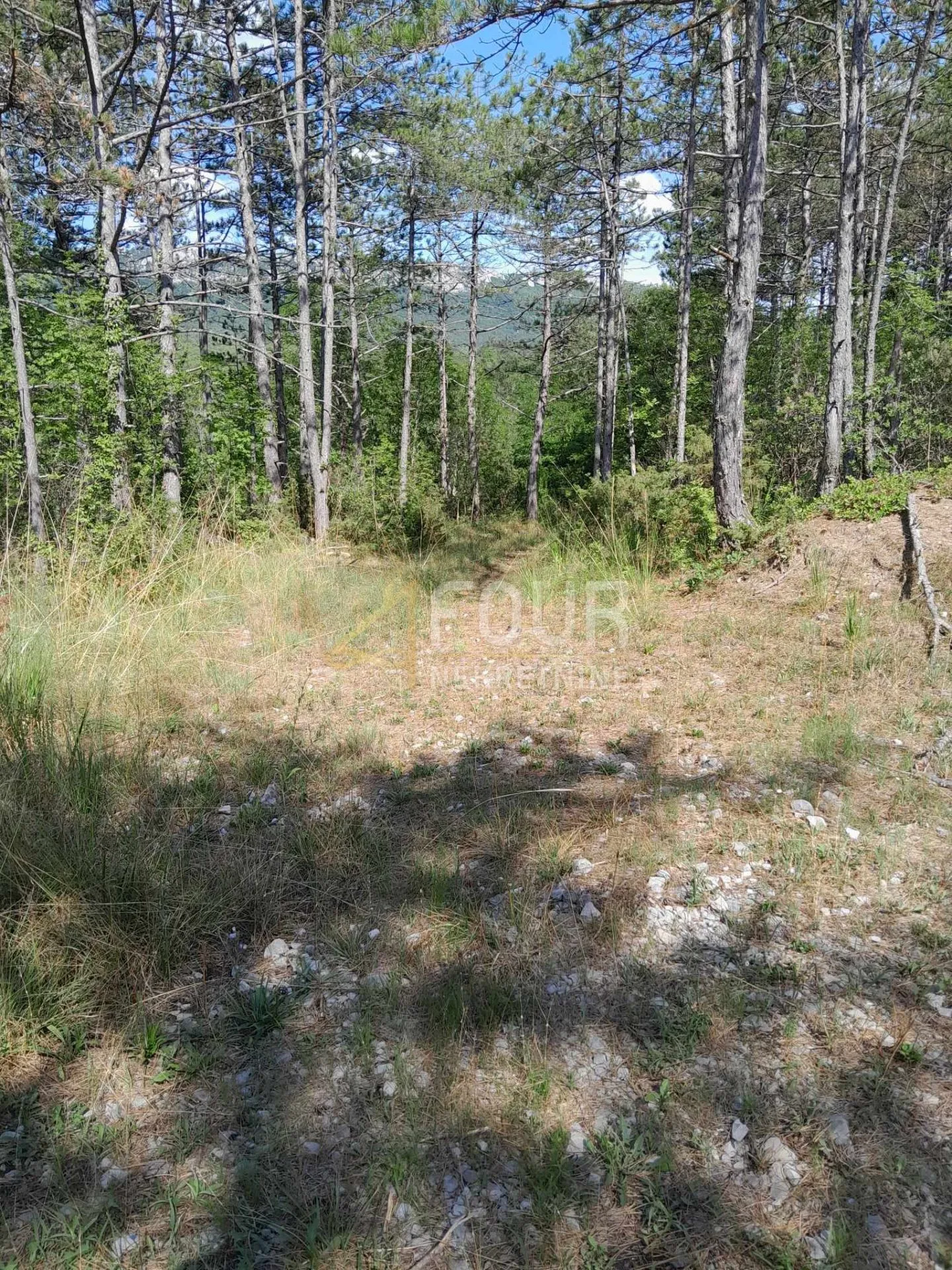 istra, buzet, građevinsko zemljište, 1.601m2 - slika 7