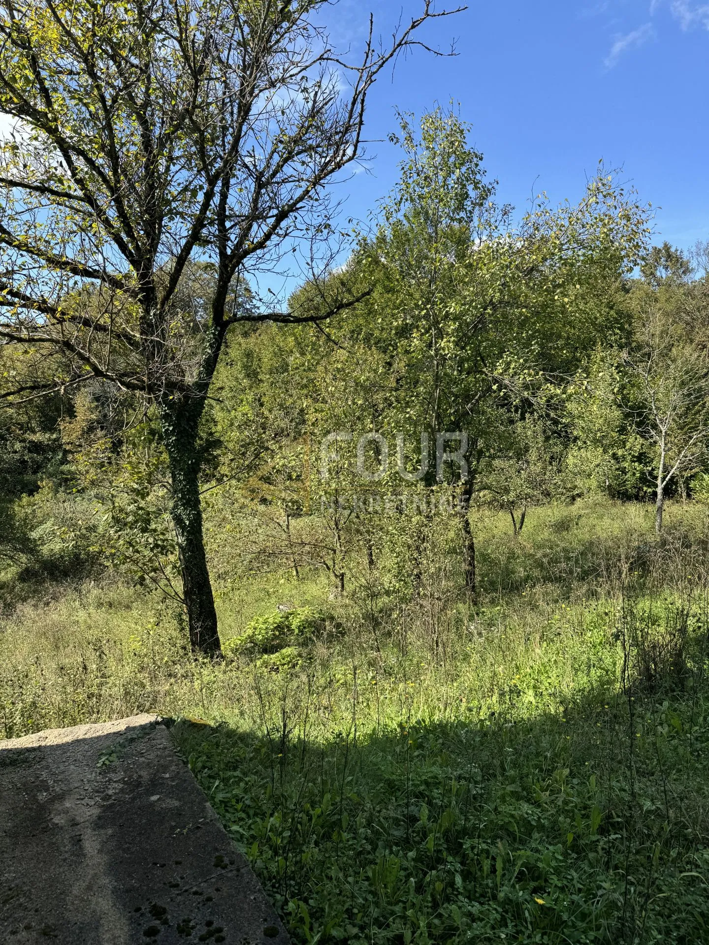 tounj - okolica, samostojeća kuća 200m2, terasa, balkon - slika 8