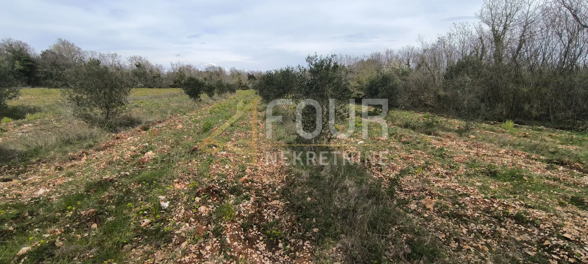 istra, marčana, poljoprivredno zemljište 7517m2 - slika 3