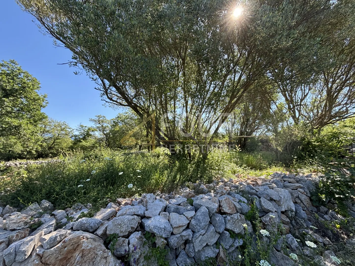otok krk, šilo, poljoprivredno zemljište 217m2 - slika 4