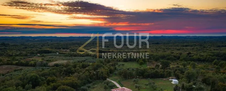 Istra, Sveti Lovreč - okolica, građevinsko zemljište, 974m2 - Sveti Lovreč Pazenatički