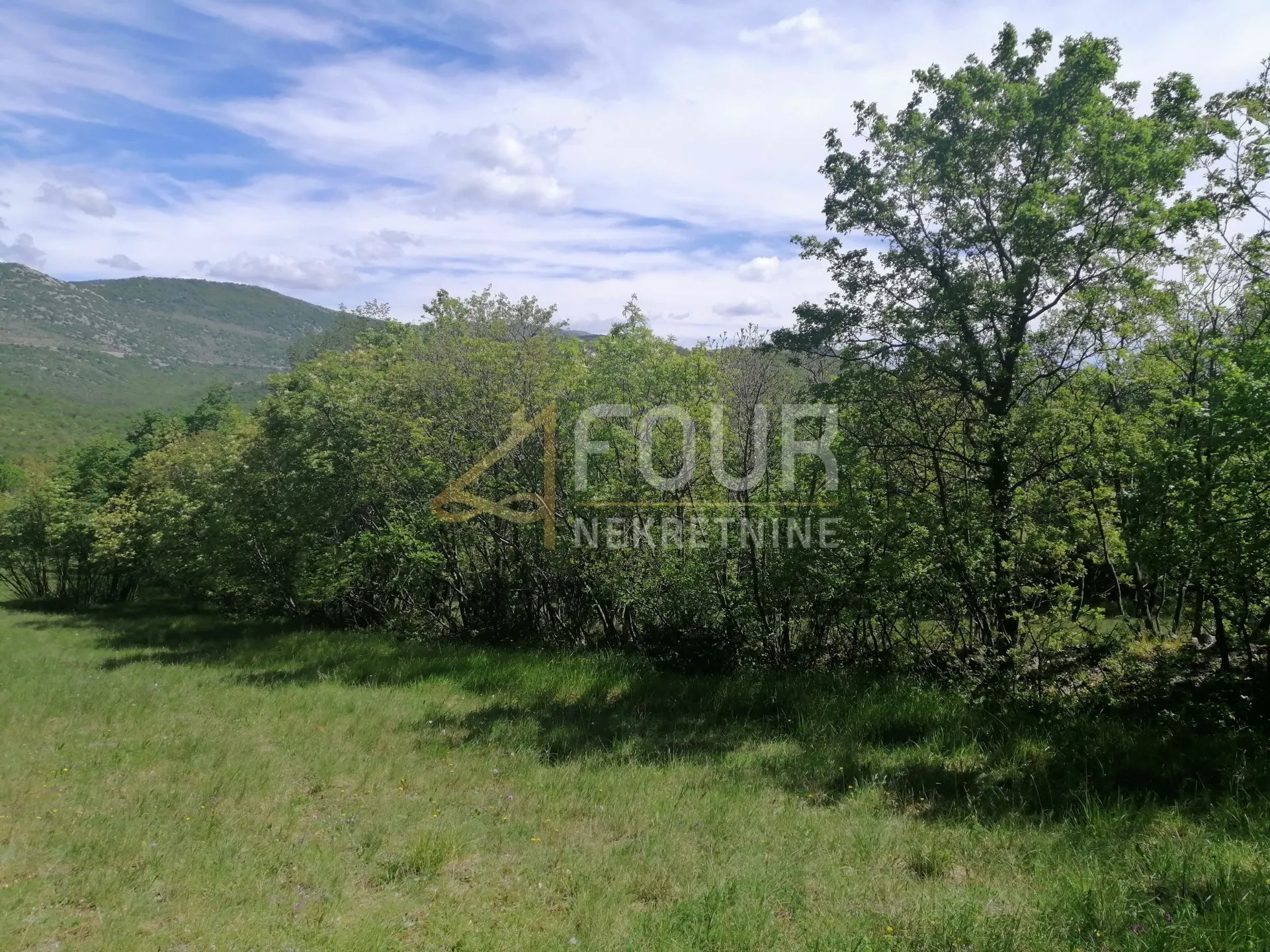 škrljevo, zemljište 9.925m2 - slika 4