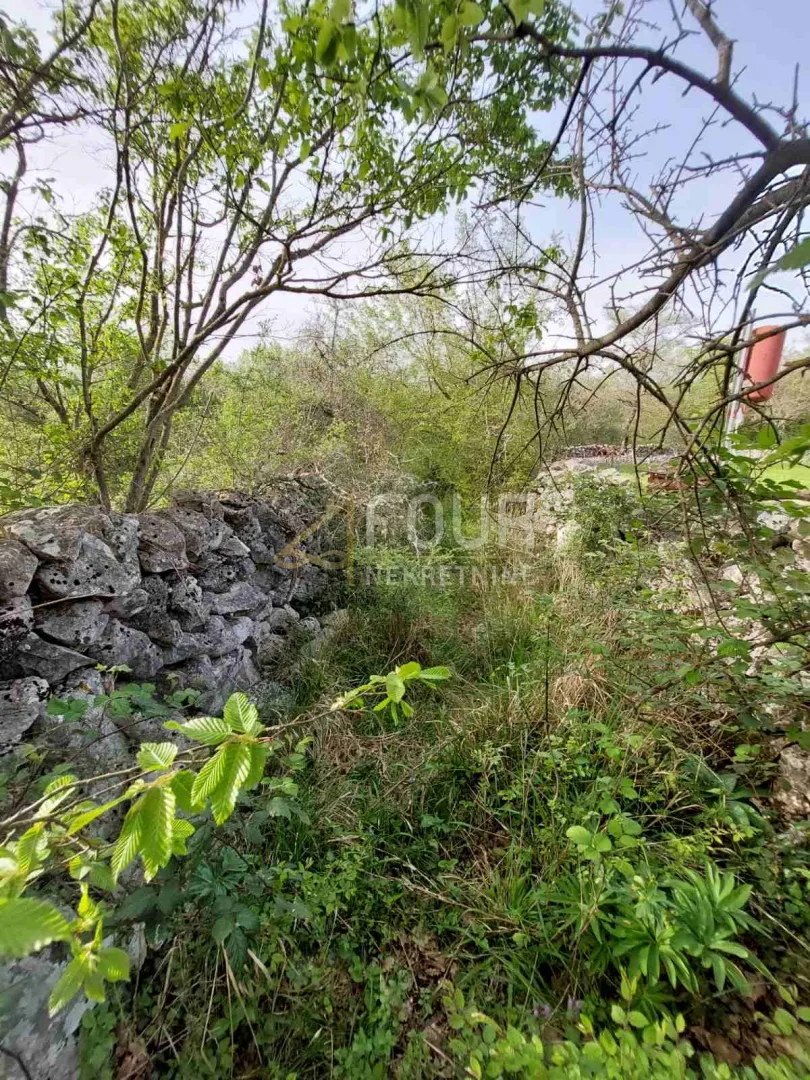 otok krk, šotovento, milohnići, poljoprivredno zemljište, 1.255m2 - slika 2