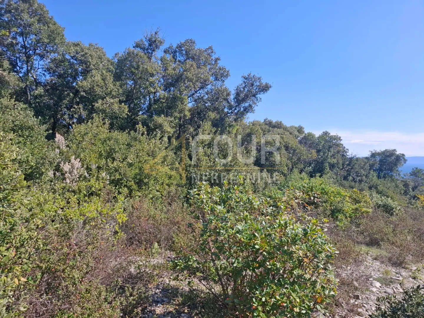 Istra, Marčana, poljoprivredno zemljište, 550m2