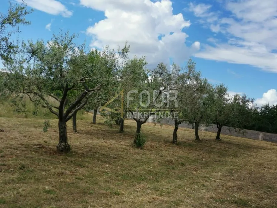 istra, barbariga, gospodarska zgrada na parceli 4.768m2 - slika 3