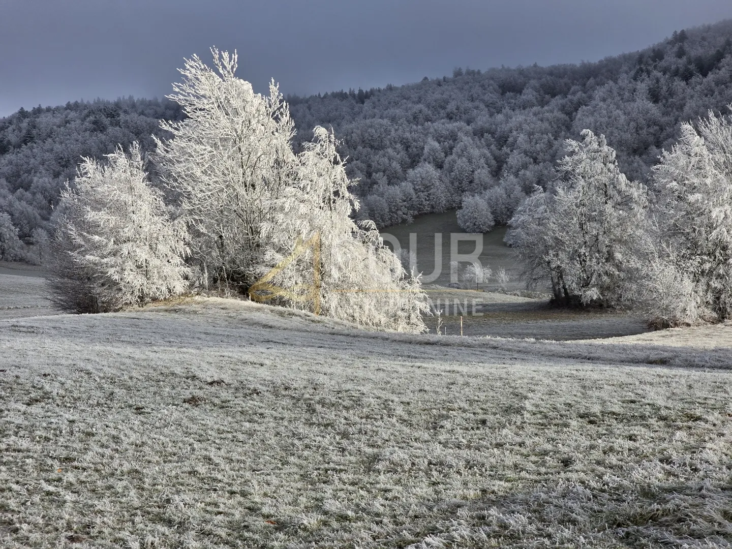 gorski kotar, begovo razdolje, građevinsko/poljoprivredno zemljište - slika 2