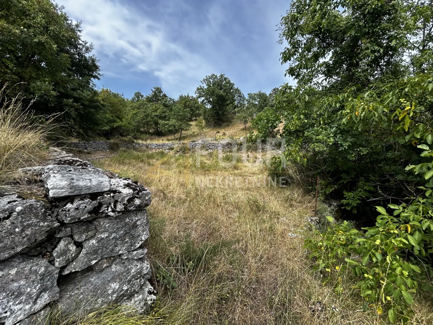 kastav, građevinsko zemljište 5.250m2 - slika 3