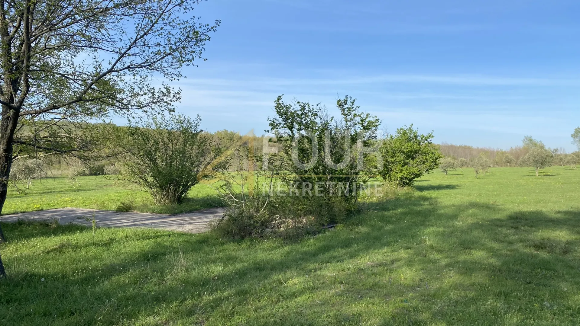 istra, kanfanar, poljoprivredno zemljište, 13.301m2 - slika 11