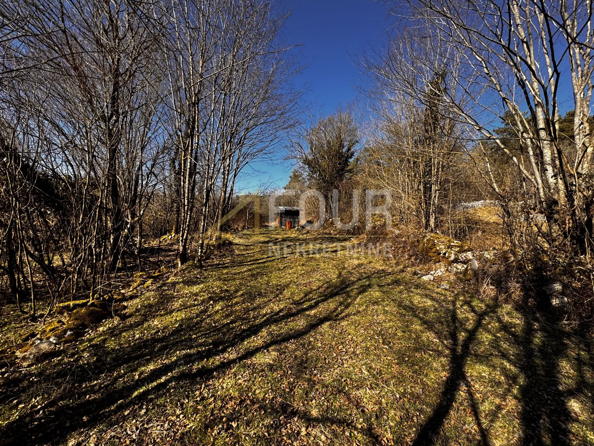 šapjane, poljoprivredno zemljište, 381m2 - slika 2