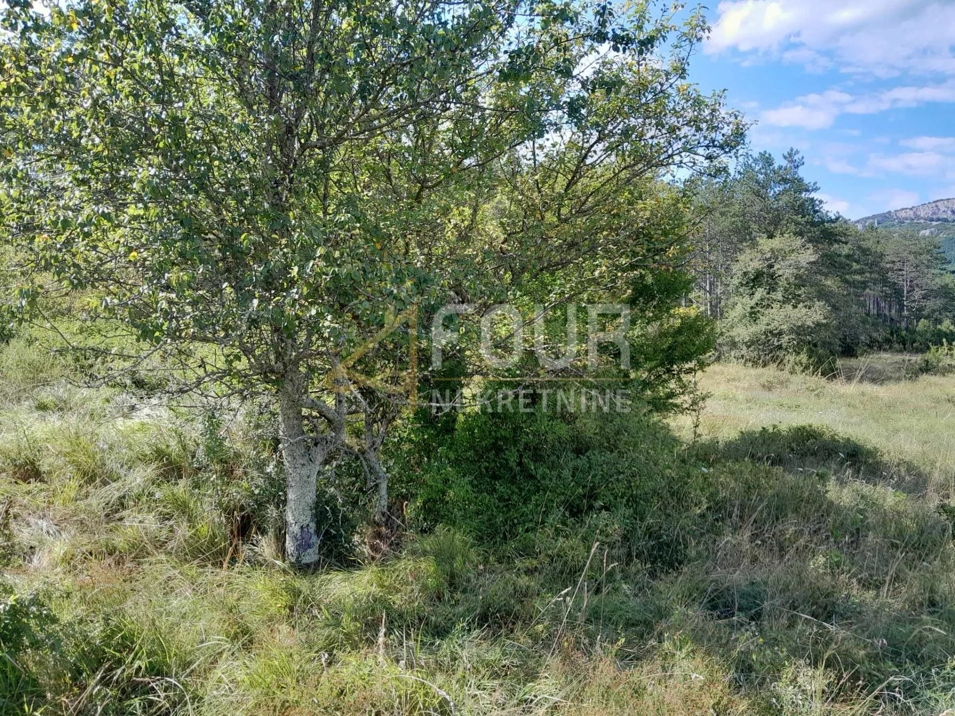 istra, buzet, građevinsko zemljište, 1.601m2 - slika 6