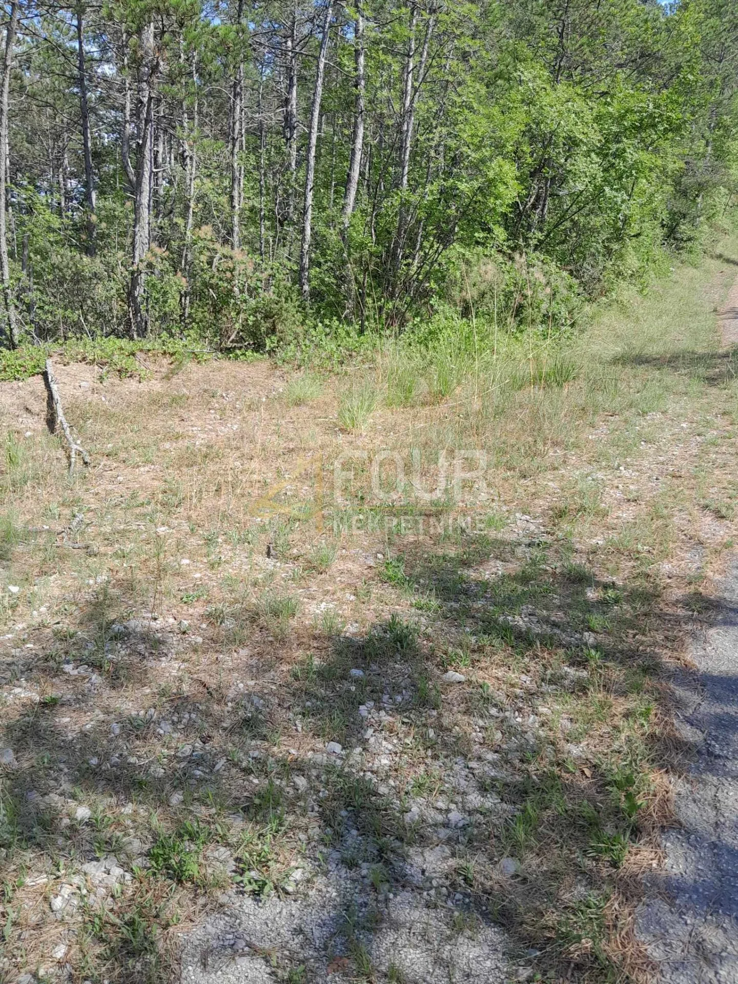istra, buzet, građevinsko zemljište, 1.601m2 - slika 4
