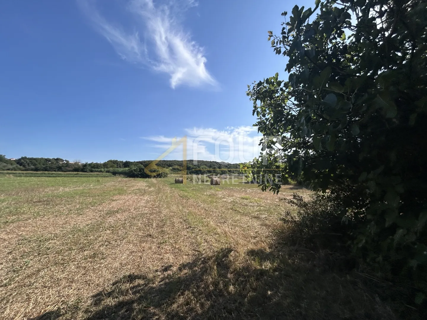 istra, vintijan, 2.500m2, poljoprivredno zemljište - slika 2