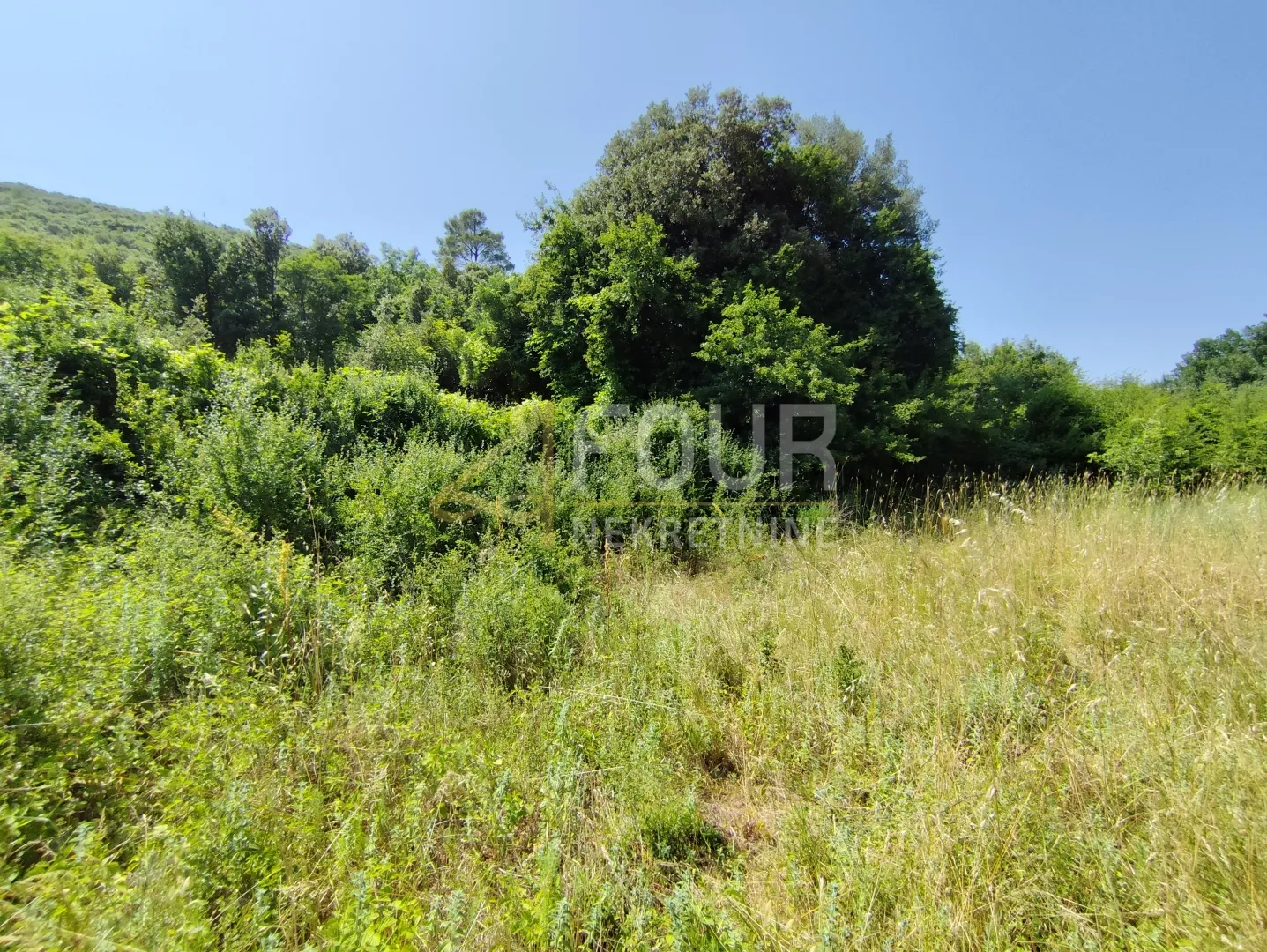 istra, pula - okolica, poljoprivredno zemljište, 2.440m2 - slika 4