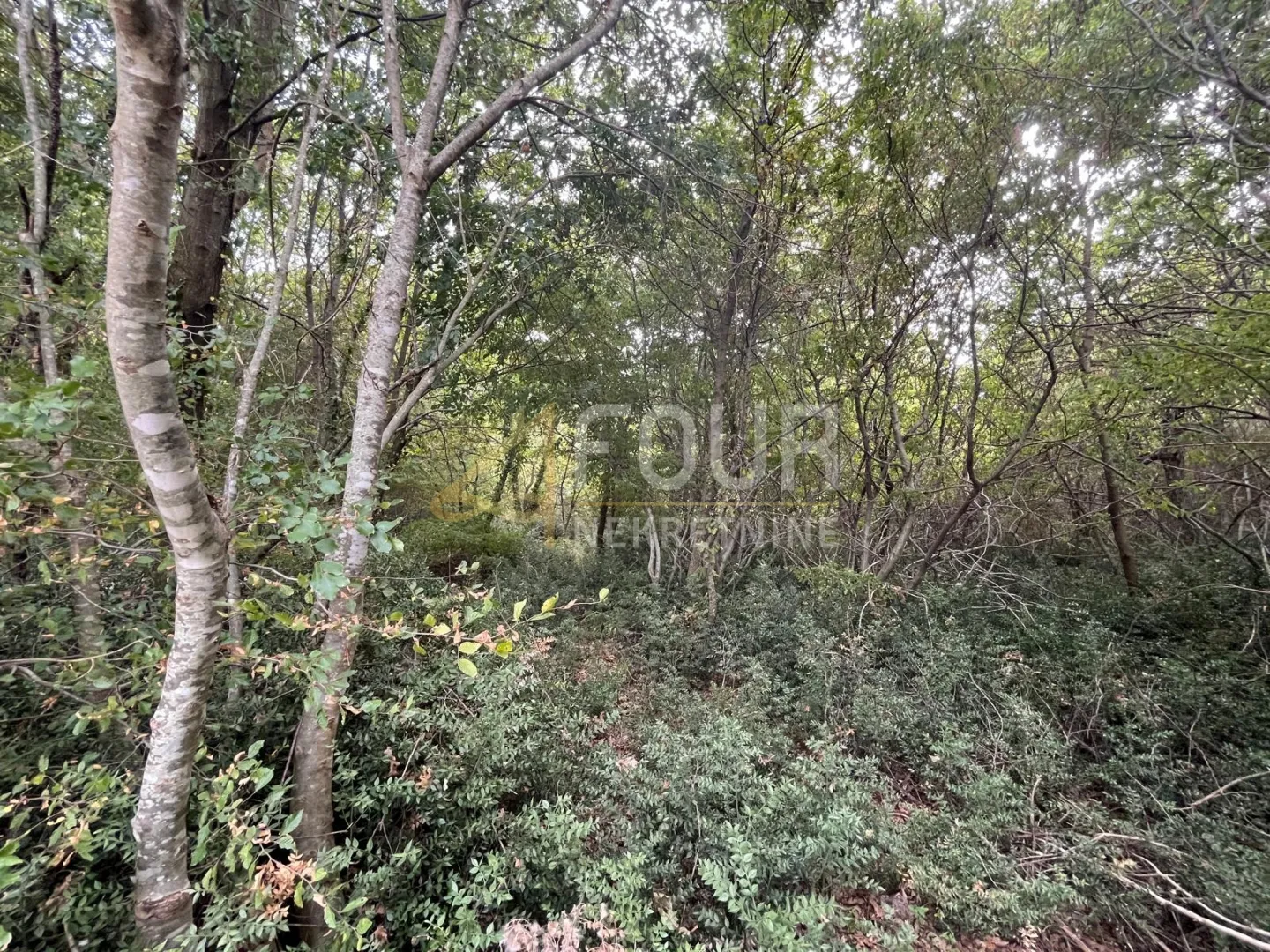 istra, marčana, zemljište - šuma, 4.932m2 - slika 2