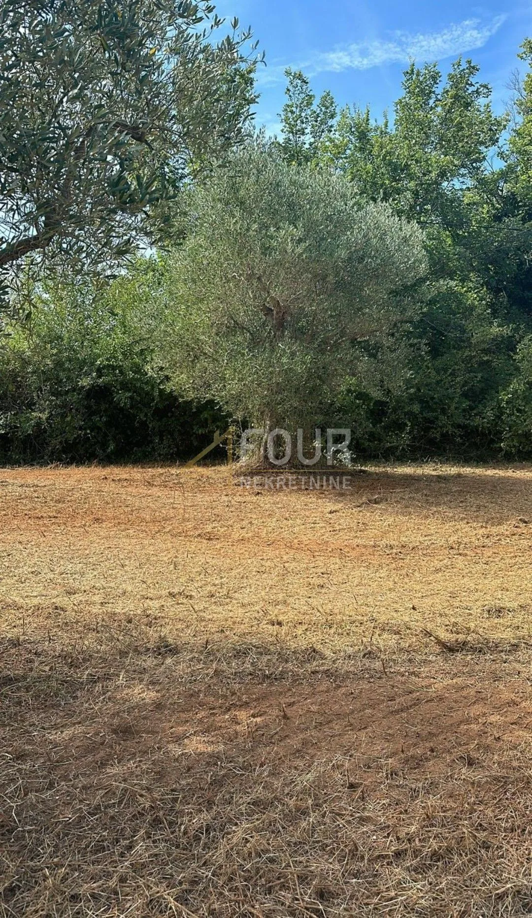 istra, bale, poljoprivredno zamljište, 3.060m2 - slika 4