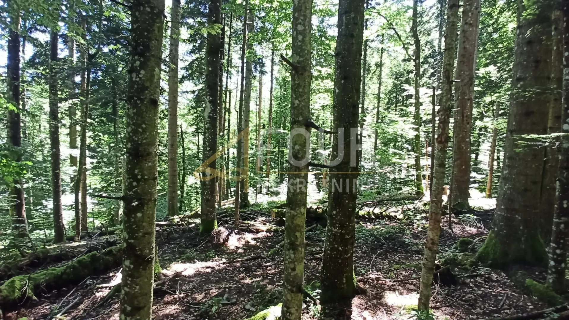 gorski kotar, vrbovsko - okolica, zemljište 17.835m2 - slika 10