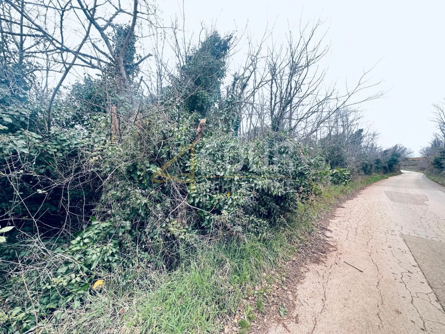istra, ližnjan, poljoprivredno zemljište, 1.899m2 - slika 4