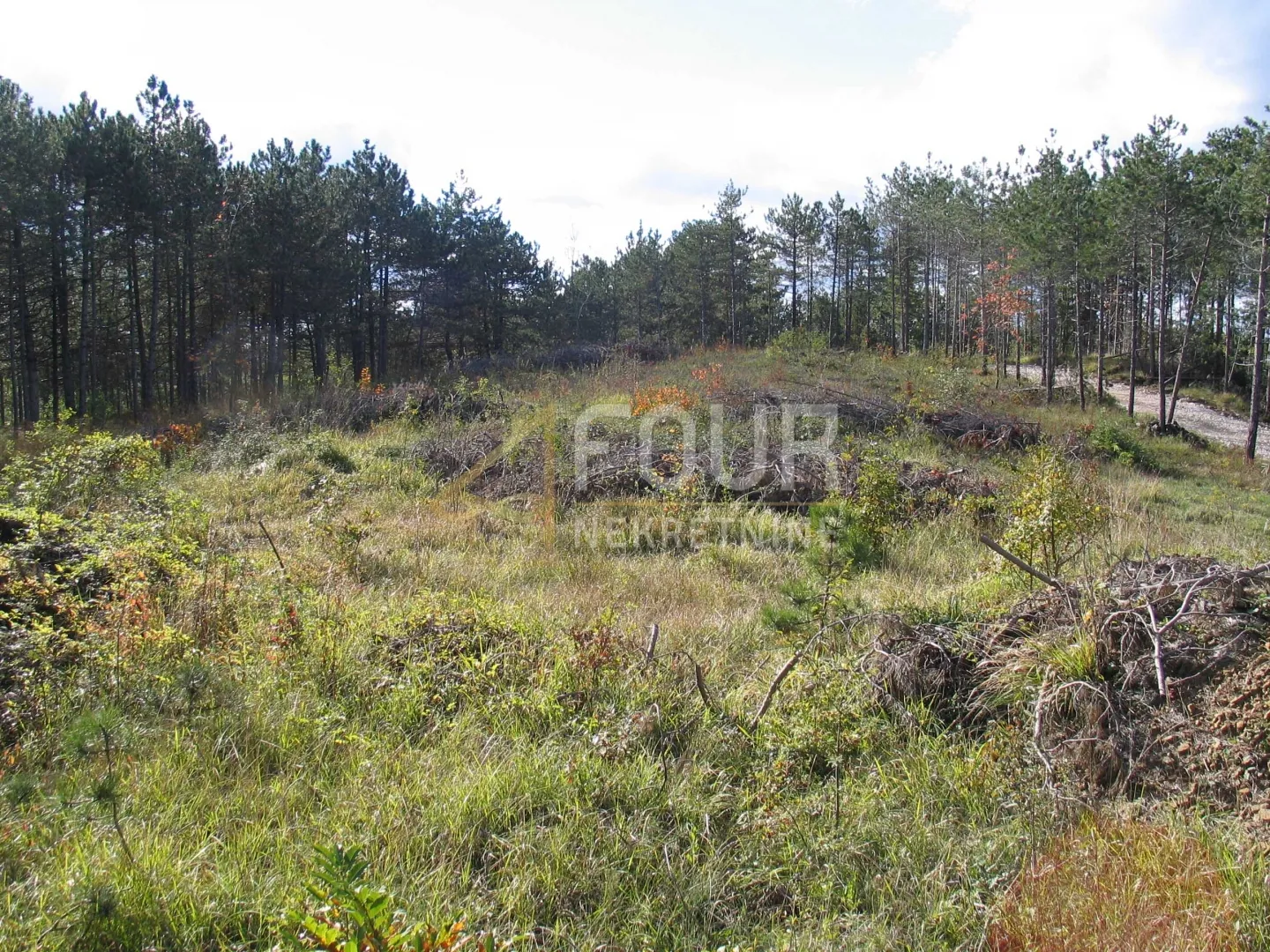 istra, gračišće, lindar, građevinsko/poljoprivredno zemljište, 39.091m2 - slika 6