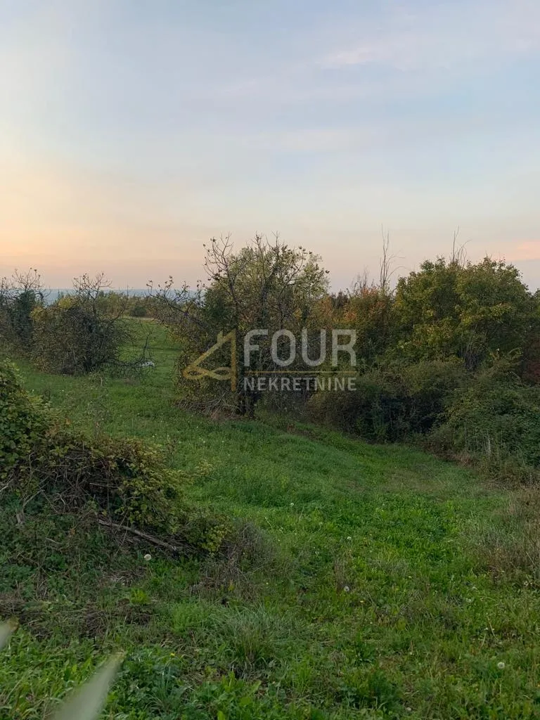 istra, pazin - okolica, poljoprivredno zemljište, 45.000m2 - slika 3