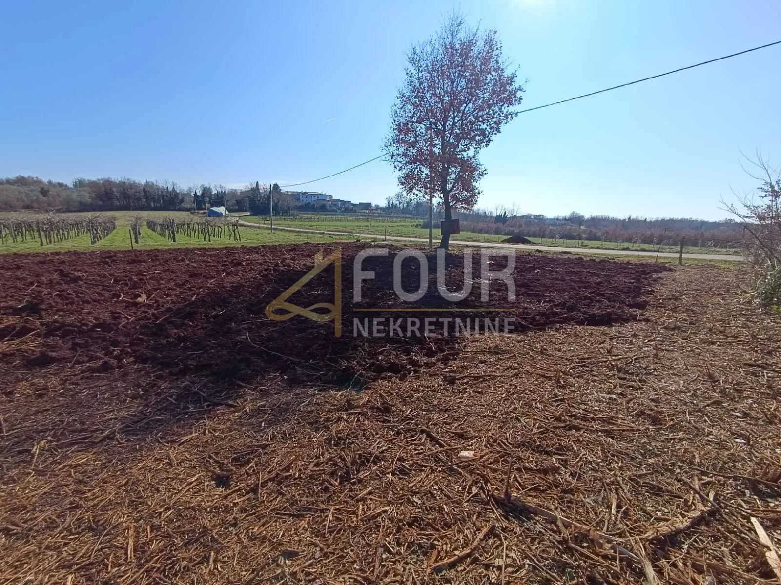 istra, brtonigla, građevinsko zemljište 1.483m2 - slika 3