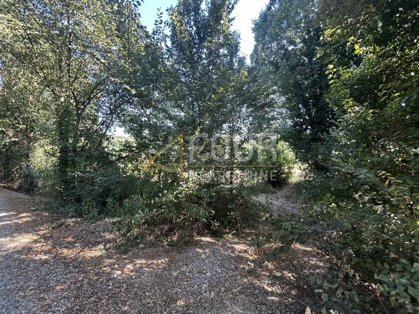 istra, vintijan, 2.500m2, poljoprivredno zemljište - slika 5