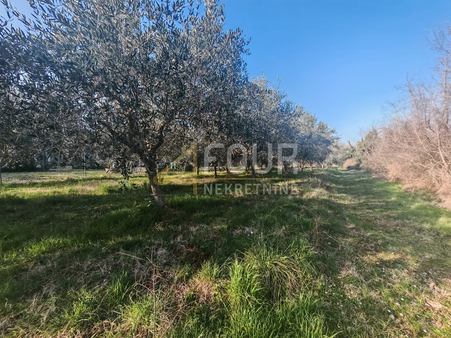 istra, marčana, zemljište 3.045m2 - slika 4