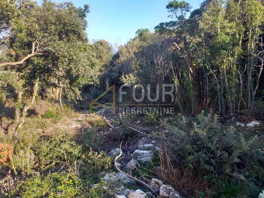 istra, duga uvala, poljoprivredno zemljište, 2.042m2 - slika 2