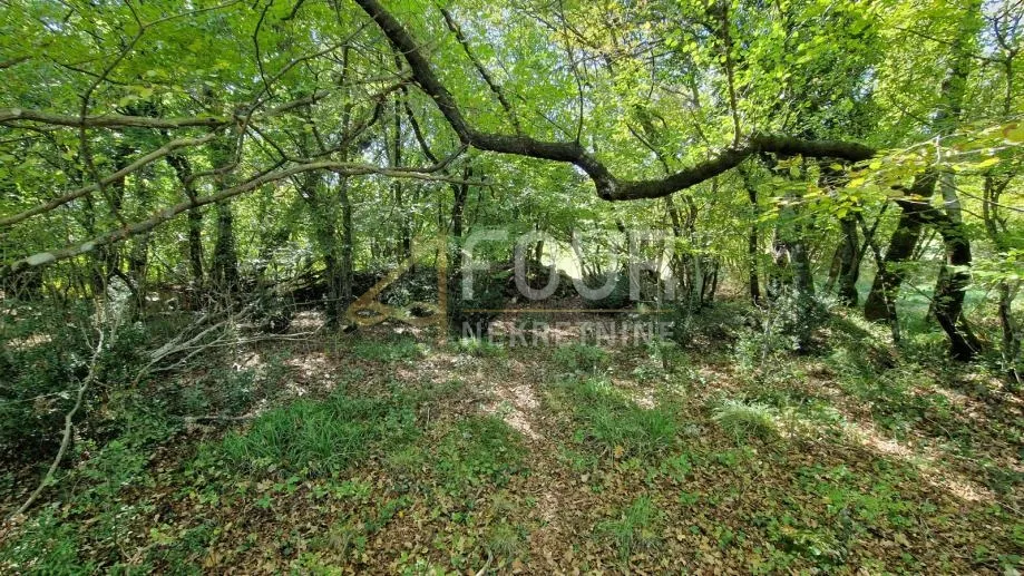 čavle, građevinsko zemljište, 5.486m2 - slika 14