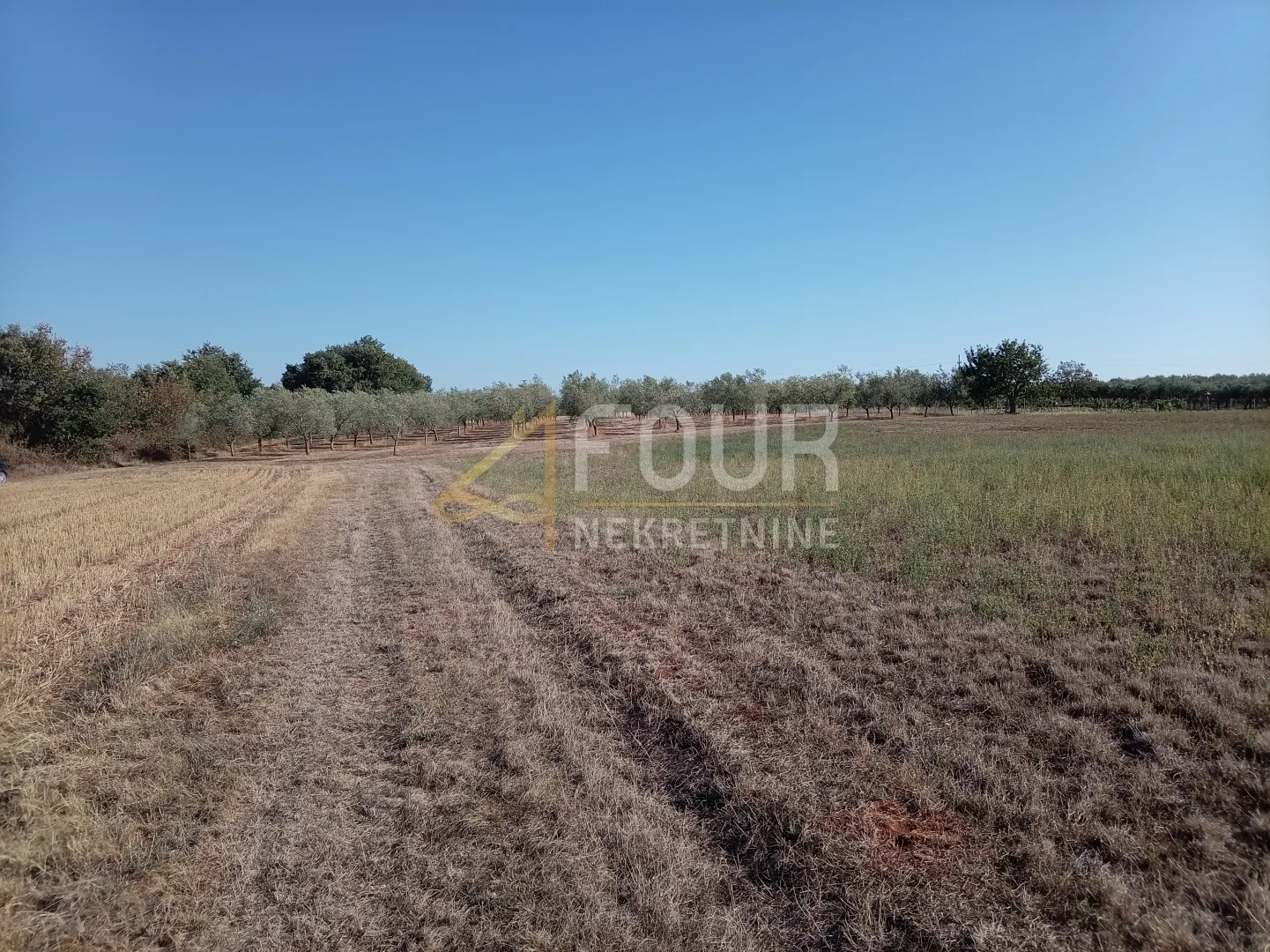 istra, umag - okolica, poljoprivredno zemljište, 12.535m2 - slika 4