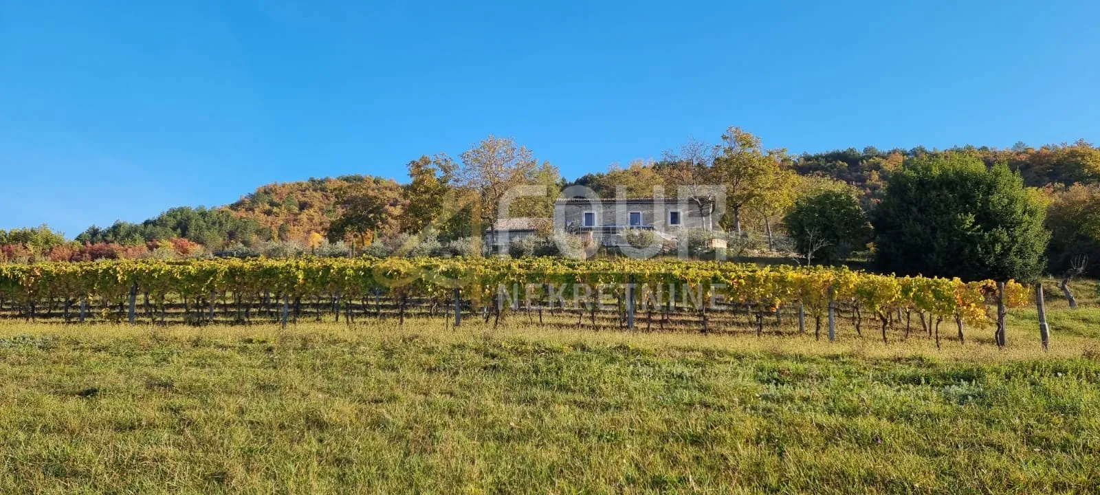 Istra, Cerovlje - okolica, imanje od 3.369m2 - dvije kamene kuće