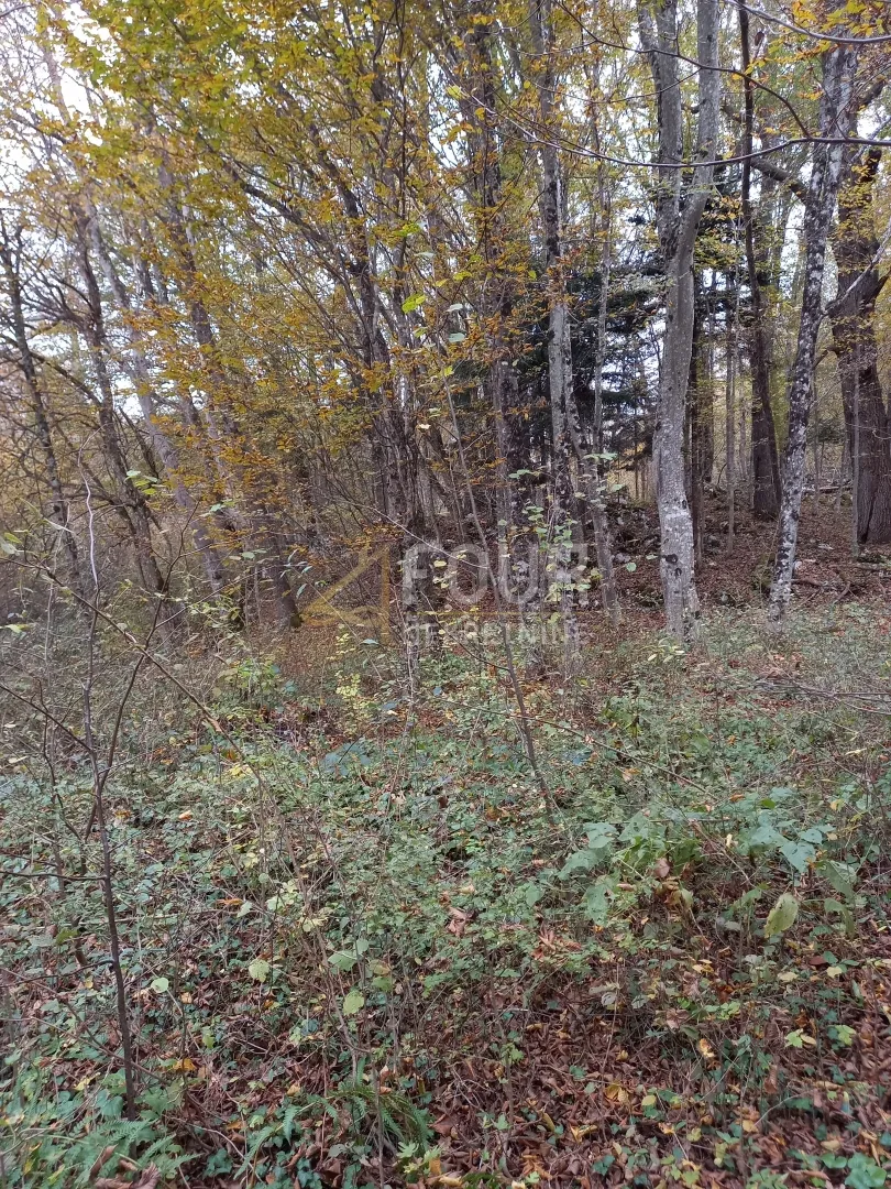bosiljevo, zemljište površine 100.581m2, gospodarska zgrada - slika 3