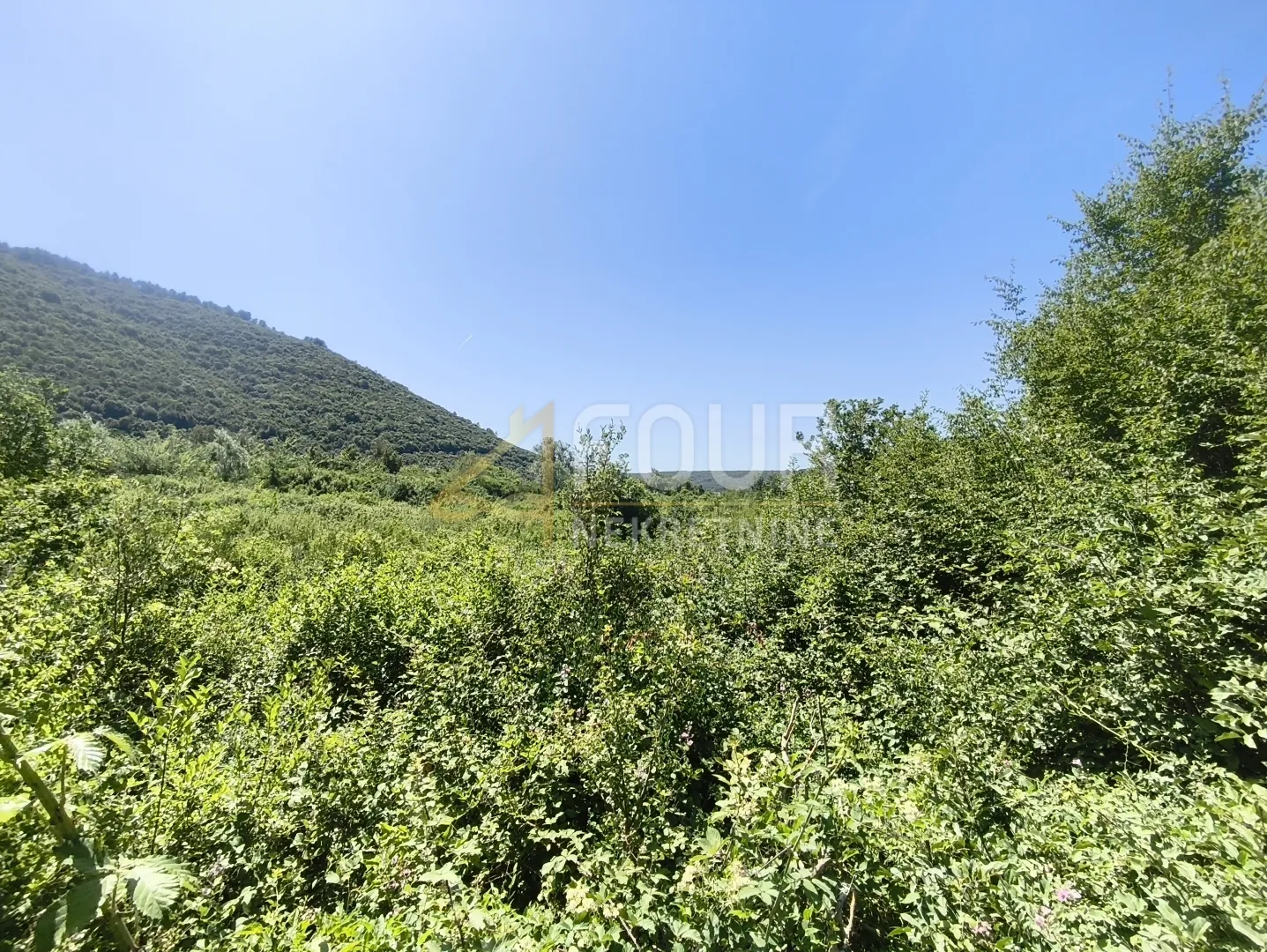 istra, valtura, poljoprivredno zemljište 14500m2 - slika 4