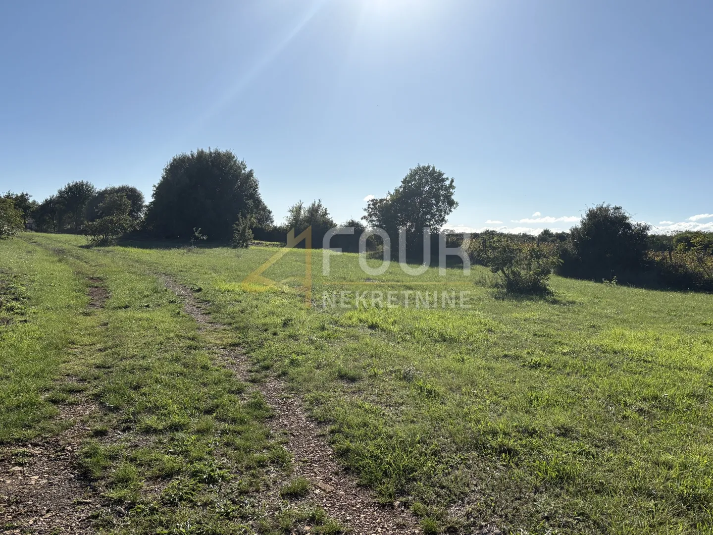istra, šišan, poljoprivredno zemljište, 10.624m2 - slika 3